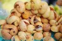 Cách ngâm rượu sấu