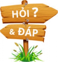 Bạn hỏi chúng tôi trả lời