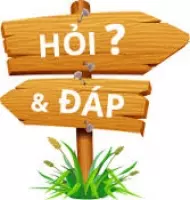 Bạn hỏi chúng tôi trả lời
